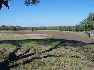 excavating services corpus christi