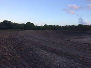 excavating services corpus christi